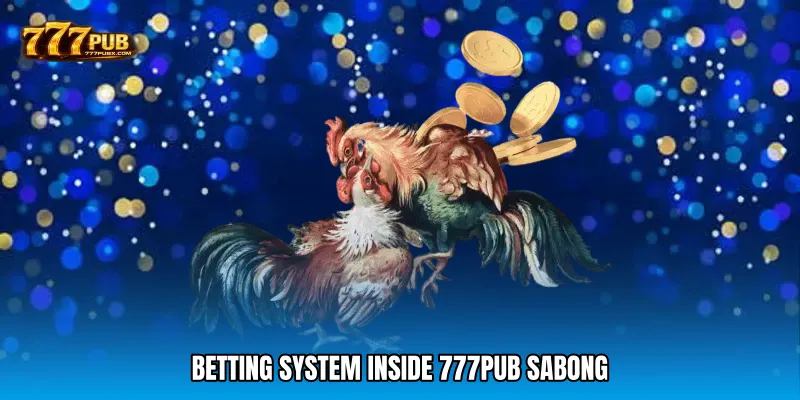 Betting System Inside 777PUB Sabong