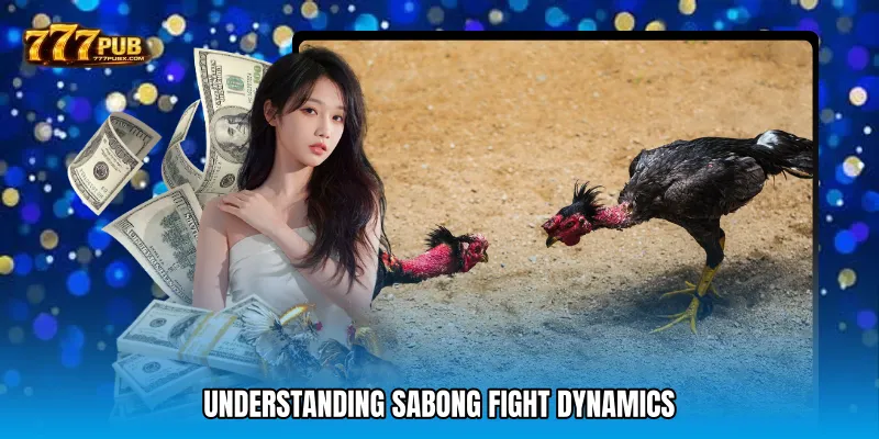 Understanding Sabong Fight Dynamics