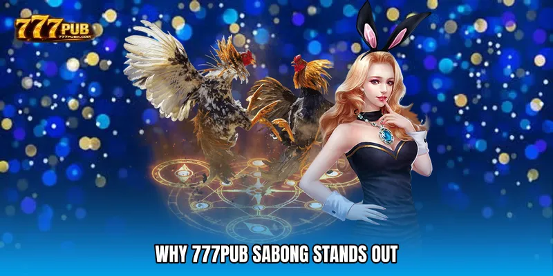 Why 777PUB Sabong Stands Out