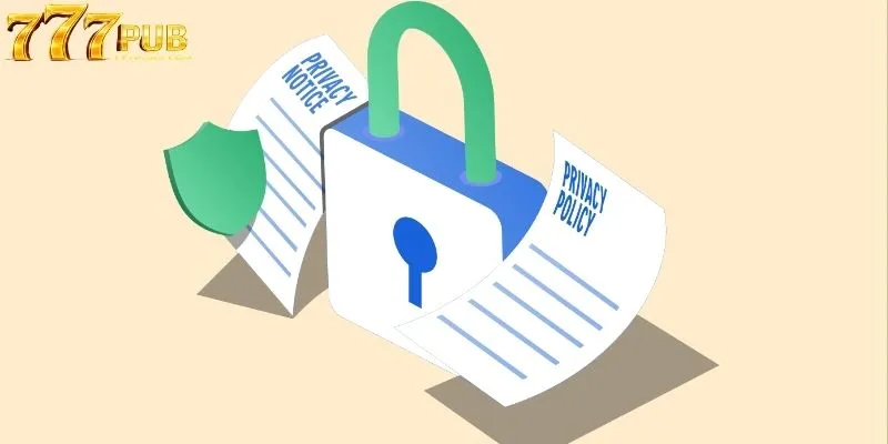Overview of the 777PUB Privacy Policy