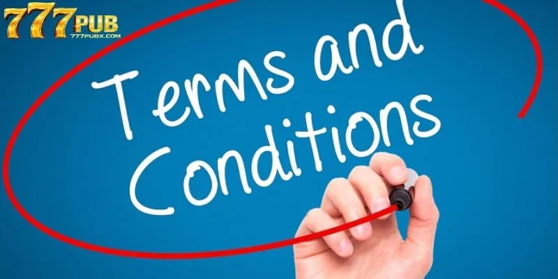 Overview of the 777PUB Terms and Conditions